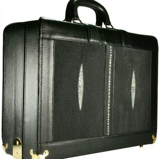 Shagreen Suitcase 2